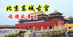 大牛子狂操美女小穴视频中国北京-东城古宫旅游风景区